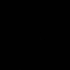 Meet your Posher, Aya